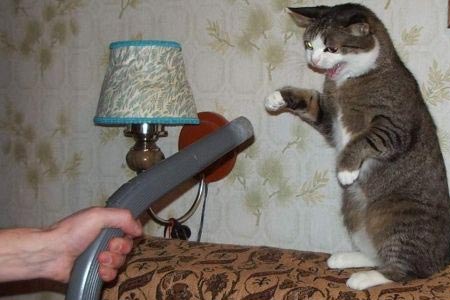 freak out